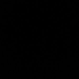 Meet your Posher, Lily